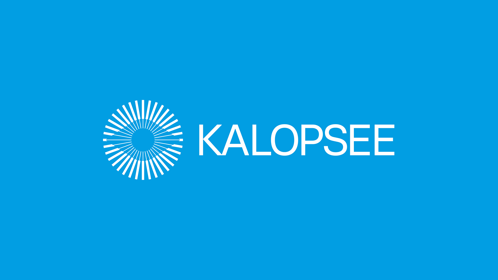 Kalopsee - Branding and Visual Identity