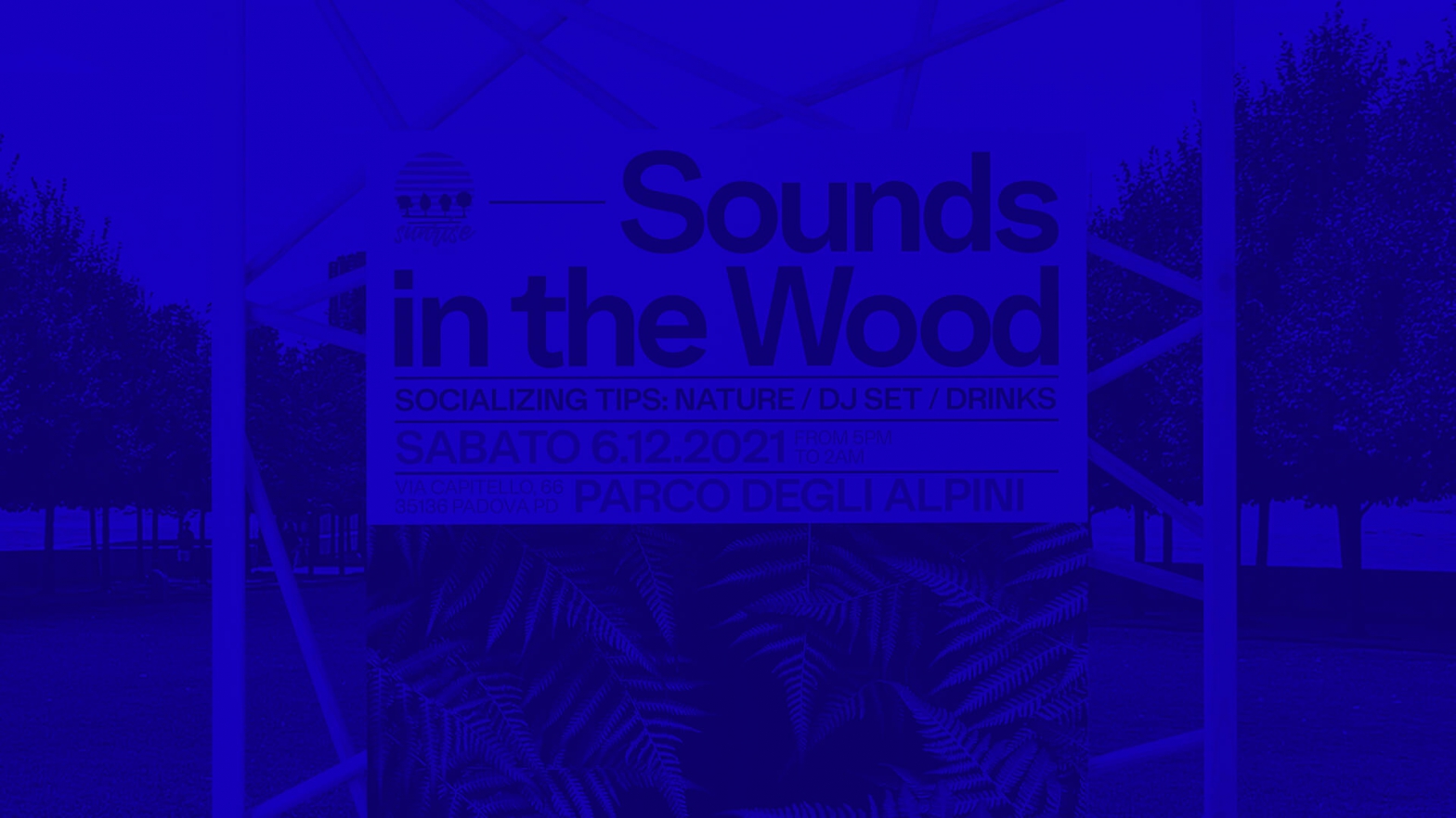 Sounds in the Wood